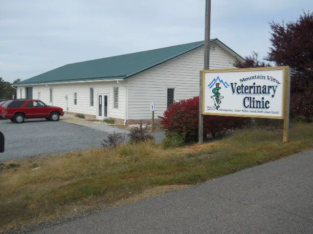 Mountain View Veterinary Clinic Picture 2