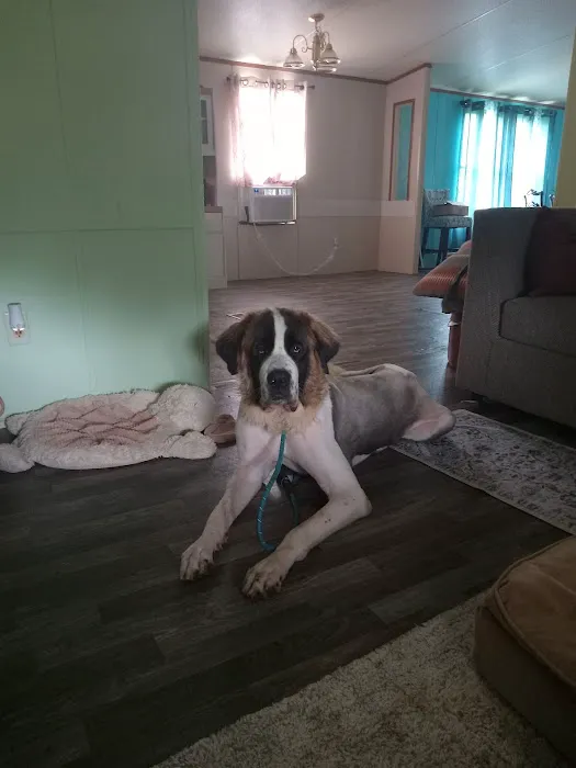 Yadkin Veterinary Hospital Picture 2