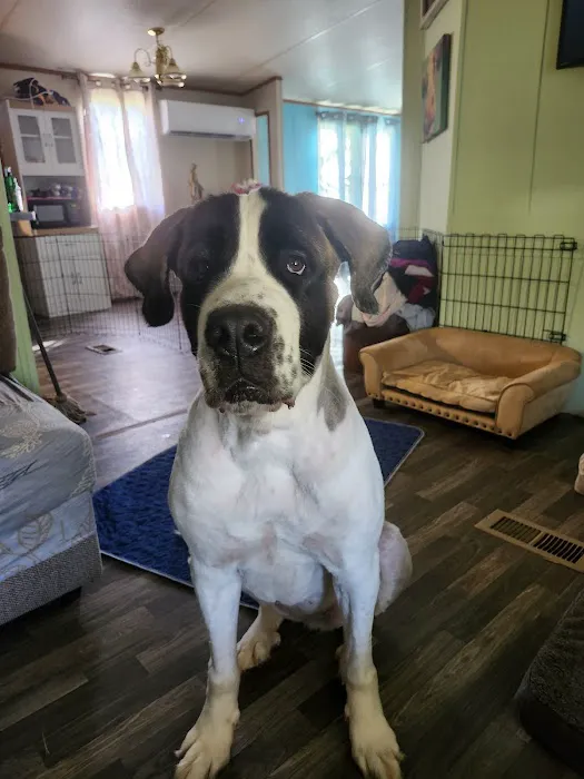 Yadkin Veterinary Hospital Picture 1