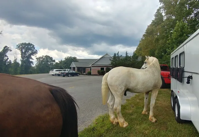 Yadkin Veterinary Hospital Picture 4
