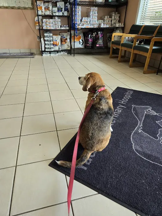 Yadkin Veterinary Hospital Picture 10