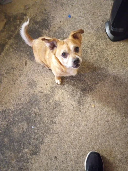 Galax Veterinary Clinic Picture 7