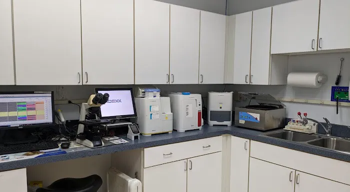 Reynolda Veterinary Hospital Picture 10