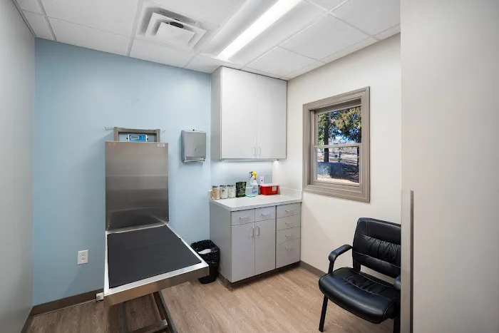 Mt Tabor Animal Hospital Picture 1