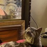 The Neighborhood Vet Hospital, PC