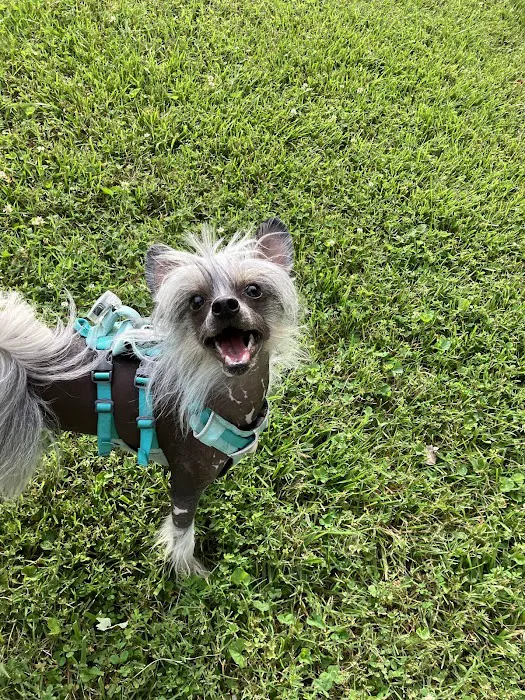 Central Spay Neuter and Wellness Clinic Picture 6
