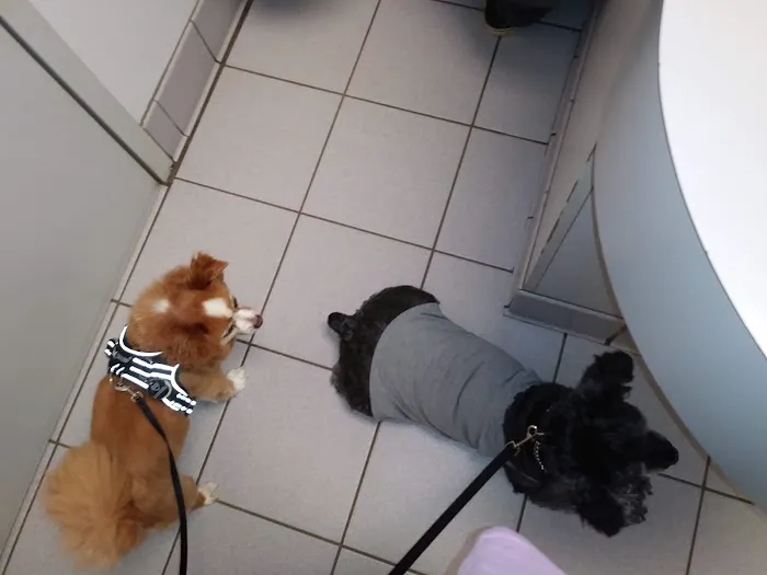 Union Cross Animal Hospital Picture 2