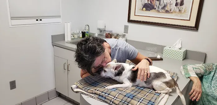 Union Cross Animal Hospital Picture 4