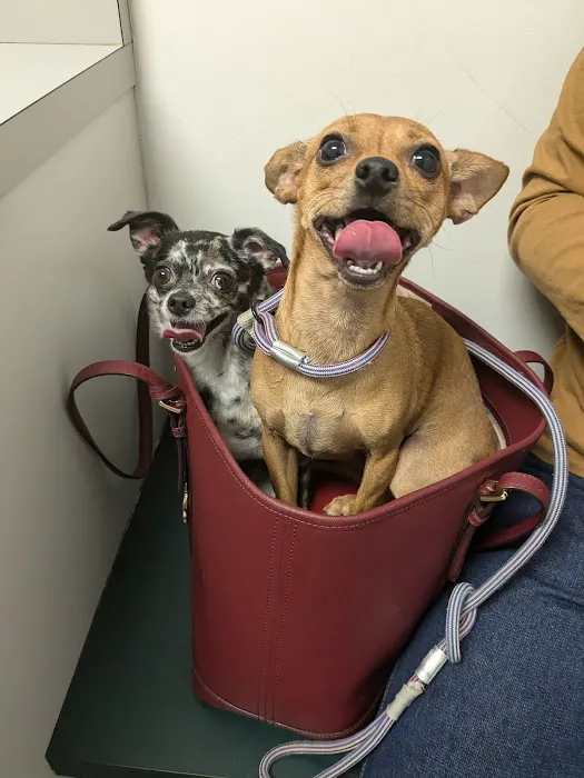 Union Cross Animal Hospital Picture 6