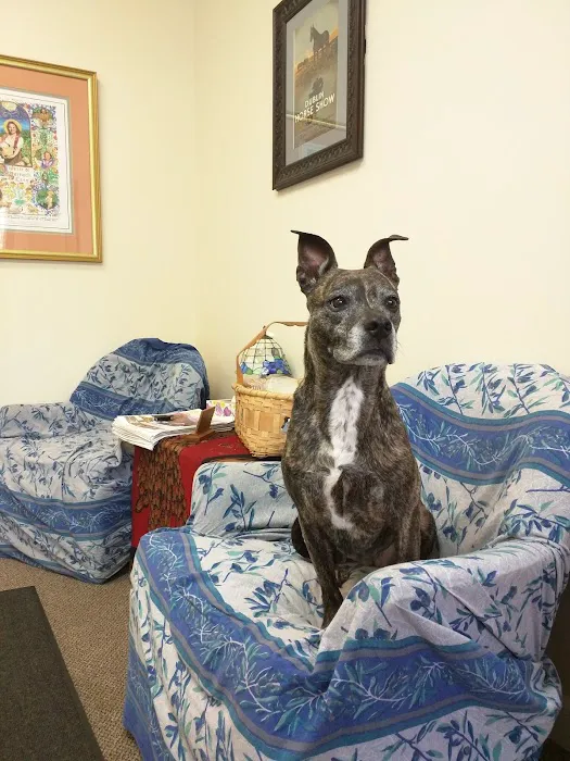 Holistic Veterinary Consultants Picture 2