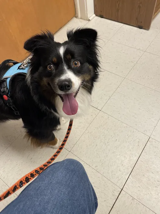 West End Animal Clinic Picture 3