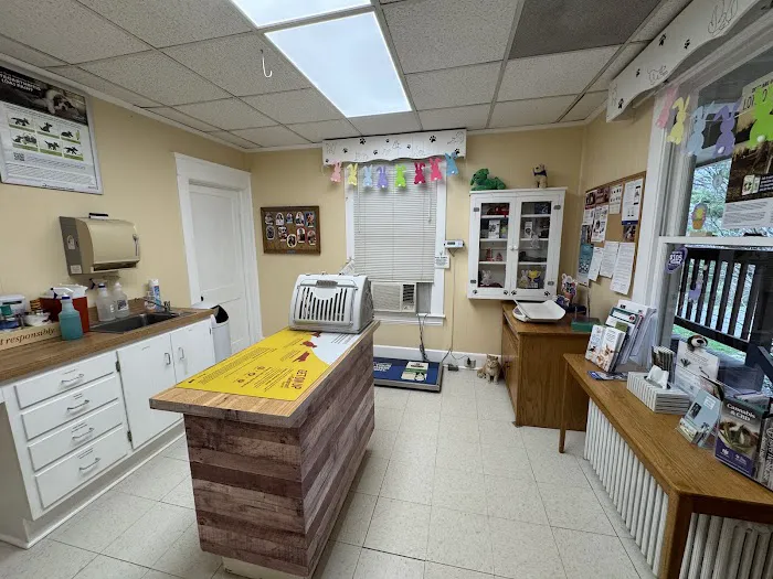 West End Animal Clinic Picture 4