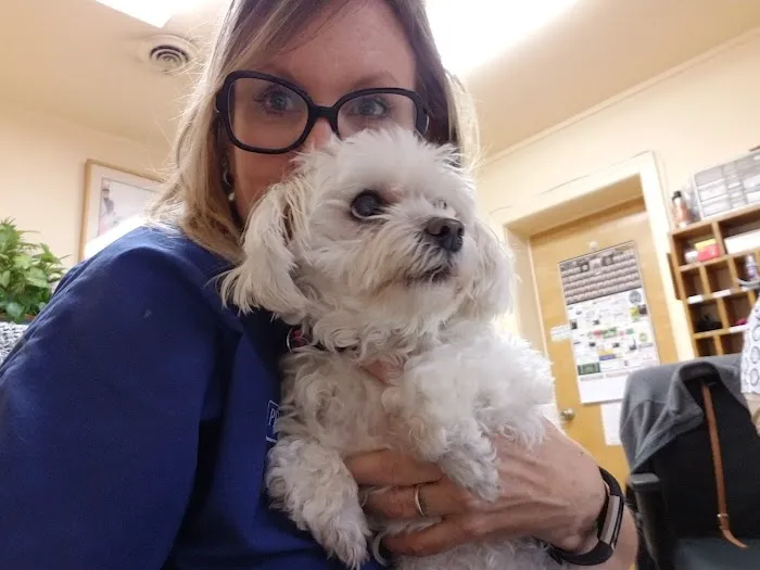 Radford Animal Hospital Picture 3