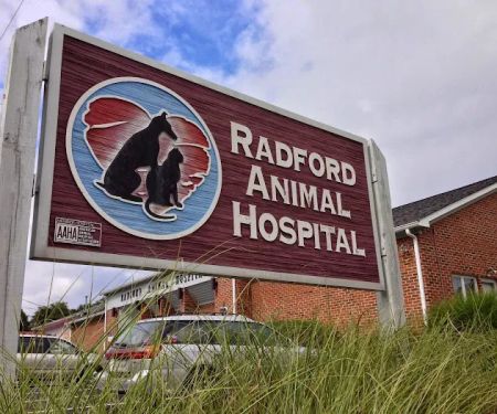 Radford Animal Hospital