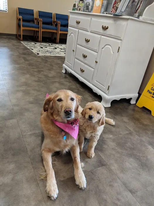Main Street Veterinary Clinic Picture 7