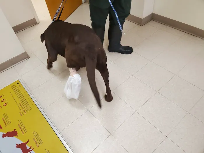 Dublin Animal Hospital Picture 1