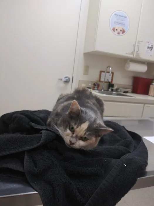 Dublin Animal Hospital Picture 5