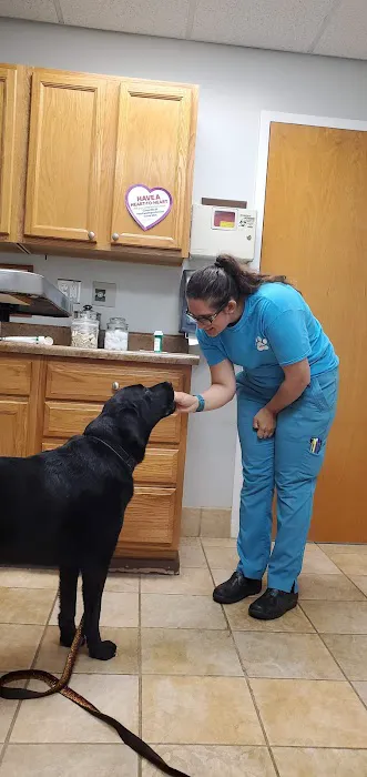 Bahama Road Veterinary Hospital: Konvalinka Chris DVM Picture 1