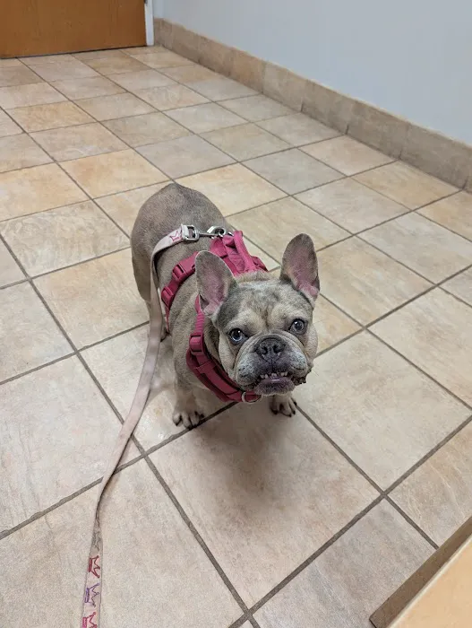 Bahama Road Veterinary Hospital Picture 1