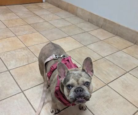 Bahama Road Veterinary Hospital