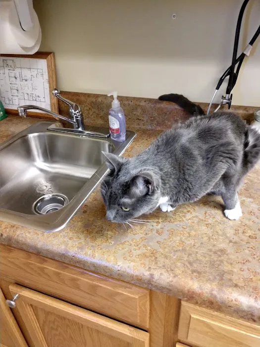 Bahama Road Veterinary Hospital Picture 2