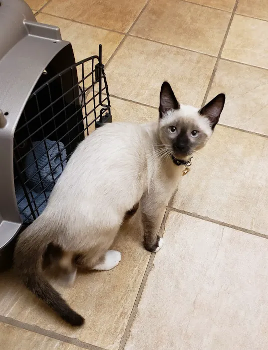 Bahama Road Veterinary Hospital Picture 9