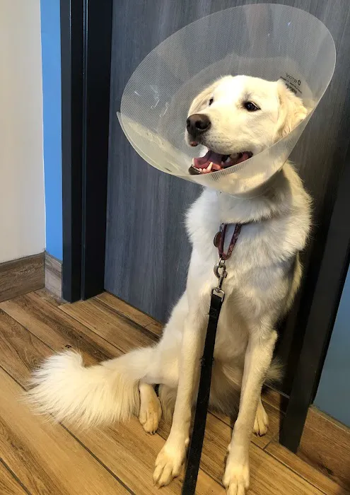 Eno Animal Hospital Picture 8