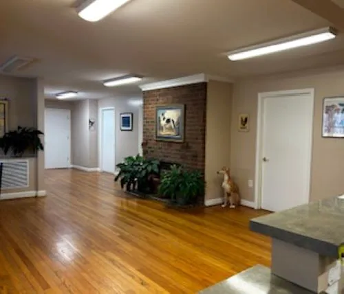Mebane Veterinary Hospital Picture 10
