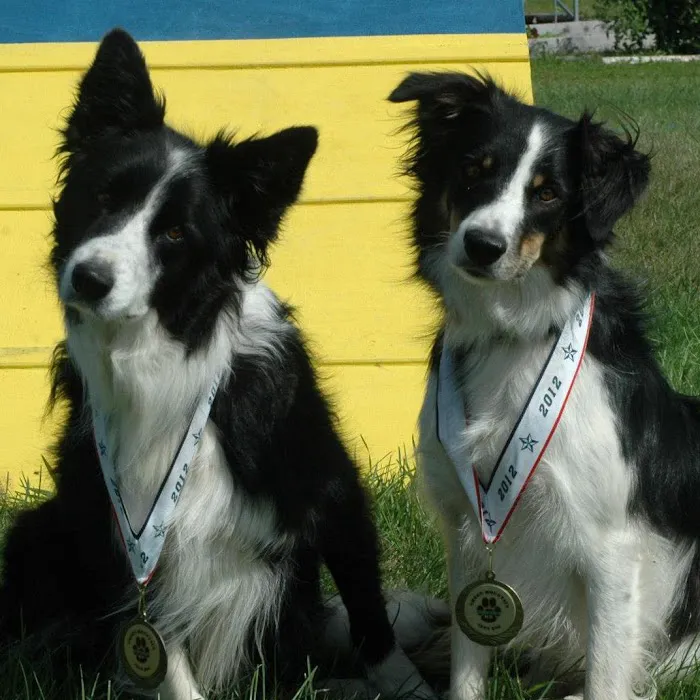 Mebane Veterinary Hospital Picture 7