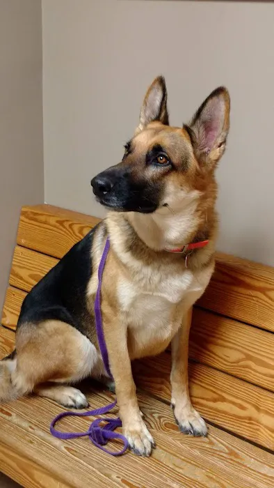 Graham Animal Hospital Picture 2