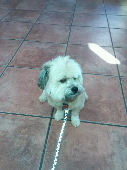 Graham Animal Hospital Picture 6