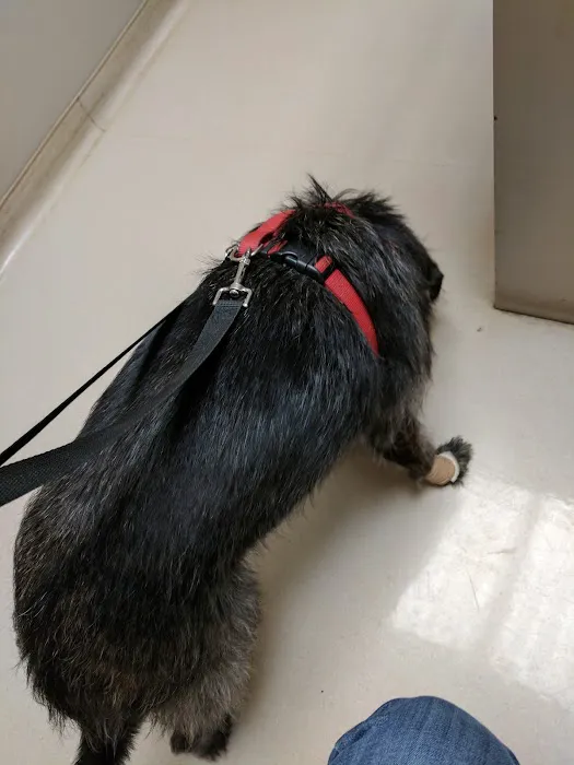 Graham Animal Hospital Picture 7
