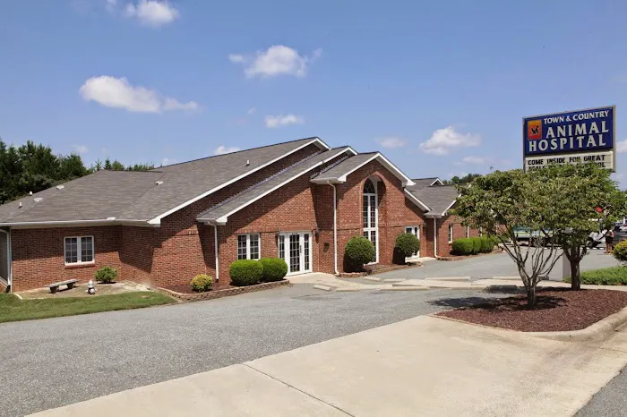 Town N Country Animal Hospital Picture 8