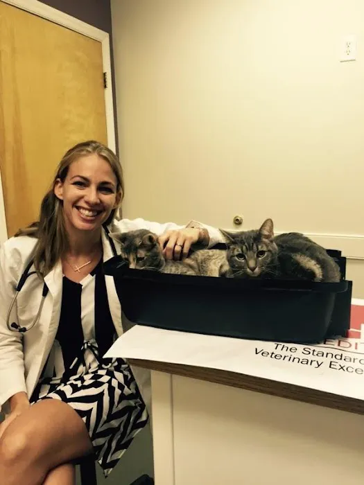 Town N Country Animal Hospital Picture 9