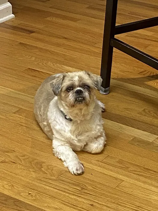 Piedmont Veterinary Clinic Picture 3