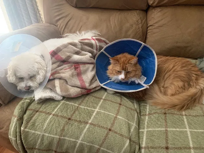 Piedmont Veterinary Clinic Picture 1