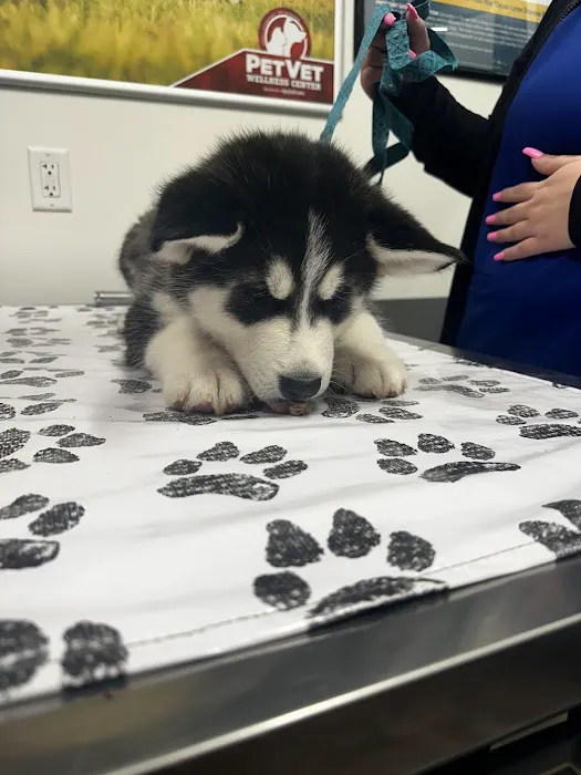 PetVet Vaccination Clinic Picture 8