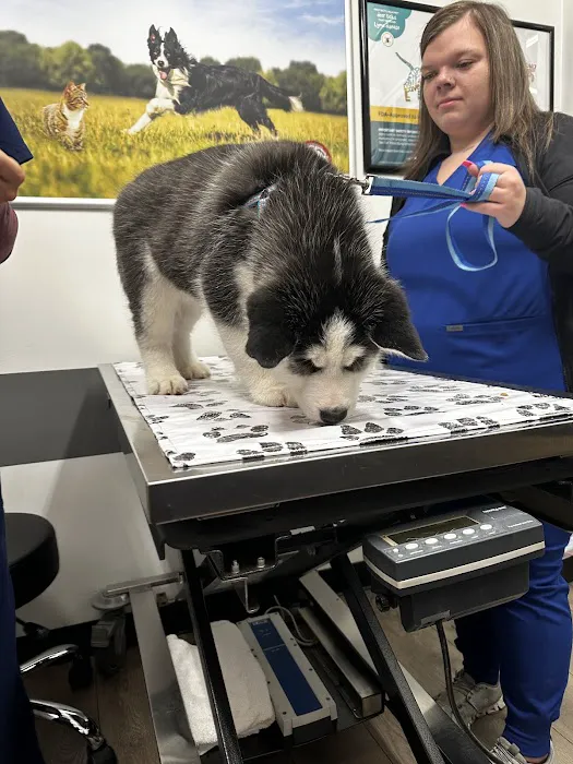 PetVet Vaccination Clinic Picture 4