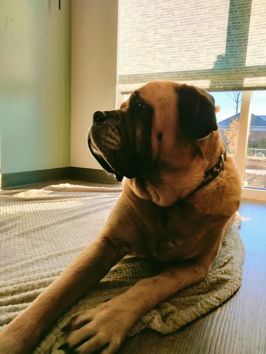 Healing Paws Veterinary Hospital Picture 10