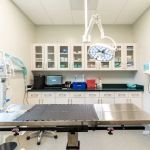 Healing Paws Veterinary Hospital