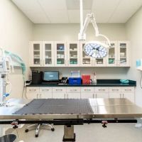 Healing Paws Veterinary Hospital ico