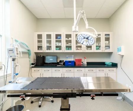 Healing Paws Veterinary Hospital
