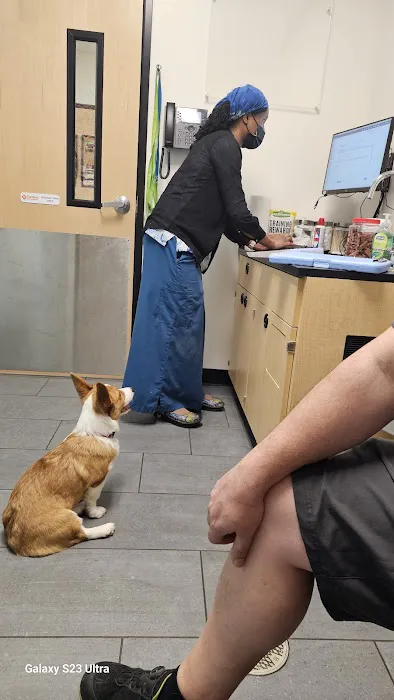 Banfield Pet Hospital Picture 10