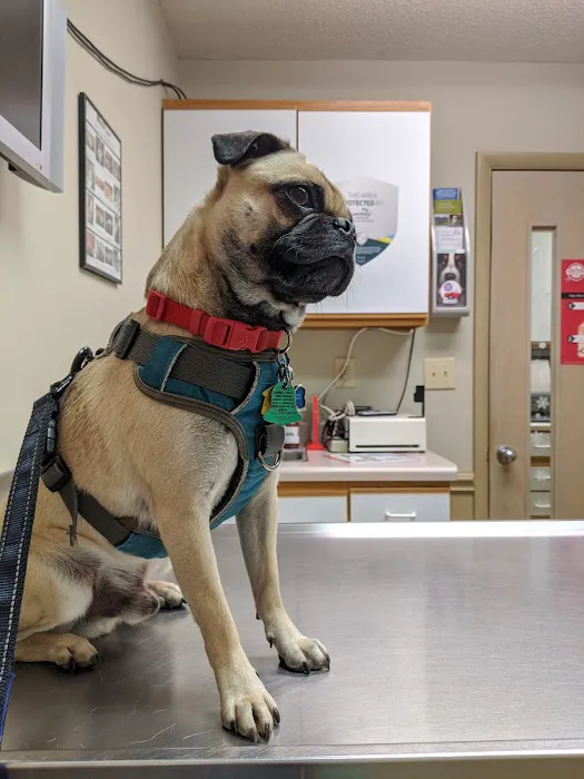 Westbrook Animal Hospital Picture 1