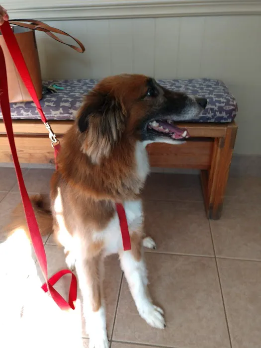 Westbrook Animal Hospital Picture 9