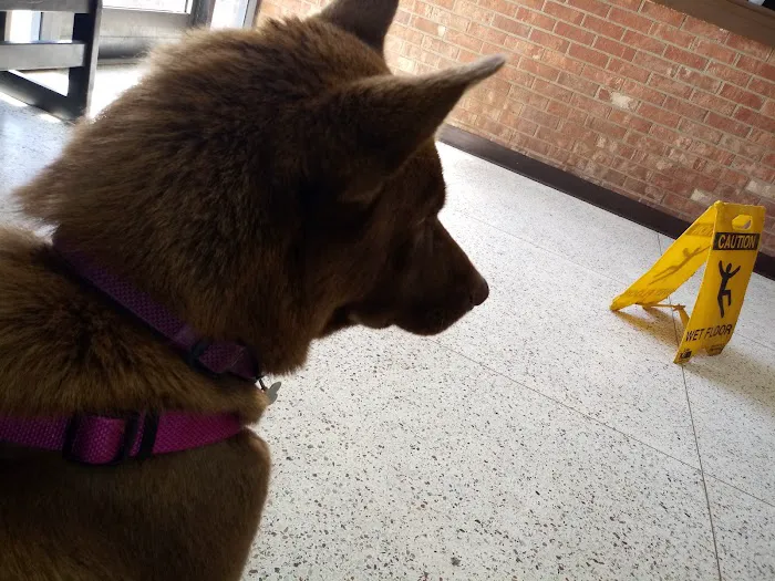 Burlington Road Animal Hospital Picture 1