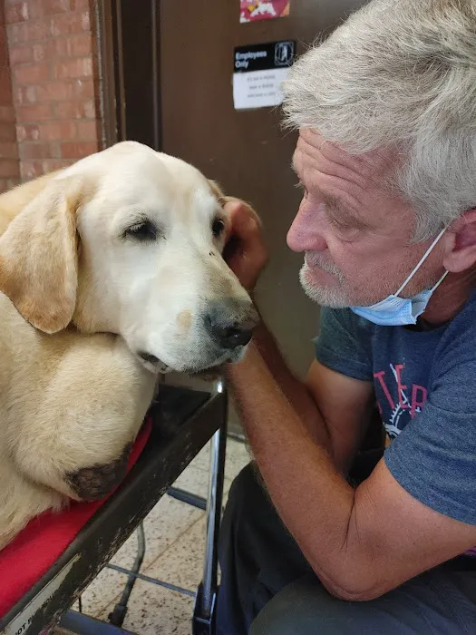 Burlington Road Animal Hospital Picture 2
