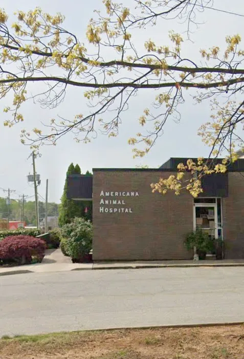 Americana Animal Hospital Picture 4