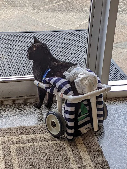 Americana Animal Hospital Picture 8