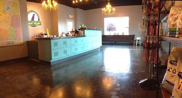 Downtown Greensboro Animal Hospital Picture 1